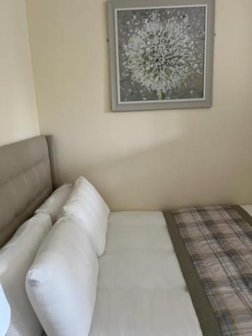 Waverley Inn Flat Inverness Bagian luar foto
